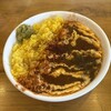 ミヤウチショウガカレー研究所