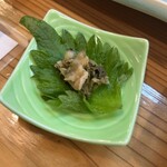 魚将　さかなちゃん - 