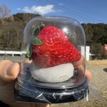 苺の伊藤園 - 大粒な苺大福