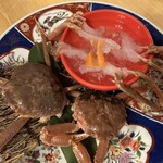 海鮮問屋 博多 - 