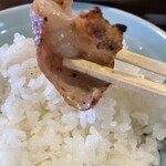 マル陽 - コリコリ食感のシロ
