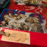 新・函館市場 戸田駅前店 - 