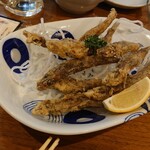 居酒屋三四郎 - 