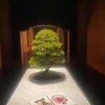 ブルガリホテル東京 - 