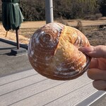 おおみやパンカフェ - カンパーニュ