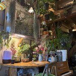 花ト喫茶ネコノコバン - 