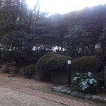 コート ドール - 