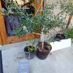 晴レジーナカフェ - 