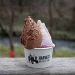 ハーベスト ナガイファーム - 料理写真: