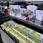 トシ・ヨロイヅカ 東京 - 