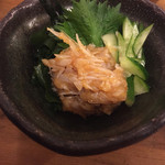 アウーの王国 - 梅水晶