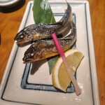 小川の魚 - 