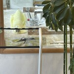 手打麺祭 かめ囲 - 