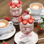 カーム ガーデン - 