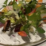 レフェルヴェソンス - 