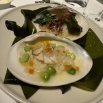 レフェルヴェソンス - 