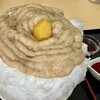 かき氷専門店 porte ひなさく堂 - 