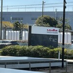 サクラカフェ - 