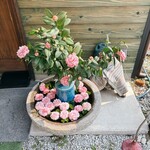 蕎麦 しらいし - 店前の生花