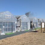 ストロベリーファーム ふじもと - 