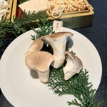 Shangri-La’s secret 表参道店 - 