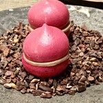 レヴォ - 噛み進めるほどにレバーの深みが静かに広がり、カカオニブの香ばしさが土壌の記憶を添えます。甘みと苦み、軽さと重さが交差し、ひと口ごとに緊張と調和が生まれる。視覚・香り・味覚が一体となり、まるで静謐な詩を読むような余韻が残る。前菜でありながら、心の奥にそっと灯りをともすような、忘れがたい一皿です。