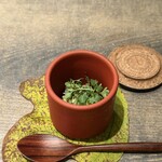 レヴォ - 素焼きの器の中央にまず目を奪うのは、野草タネツケバナの細くしなやかな姿です。