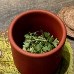 レヴォ - 野に揺れる息づかいをそのまま閉じ込めたような佇まいが、皿全体に静かな緊張感をもたらします。