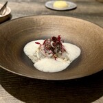 レヴォ - 〜アオリイカ〜