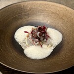 レヴォ - 深みのある器の中央に、細切りにされたアオリイカの胴体と足が巻かれ、炙られて淡く色づいた線が浮かび上がります。