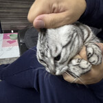 とうふ屋うかい - 