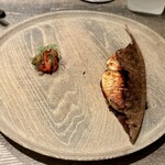 レヴォ - 〜サワラ〜