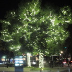 SALONE 2007 - ちょっとボケボケ（笑）