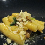 SALONE 2007 - bosco/ 森 ポルチーニ・栗・マッケロンチーニ