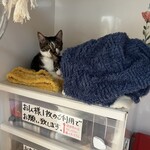 ねこ屋 - 