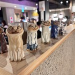 ネコにマタタビ - 