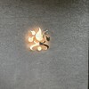Teppan 楽 - 