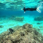 ばしゃ山村 - 海ガメと友だちになれました。