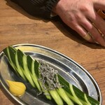 居酒屋それゆけ！鶏ヤロー！ - 