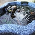 山内うどん店 - 手水鉢か、カチカチに氷が張っていた