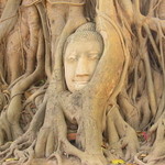 Baanice Resturuant & Coffee - ワット・マハタートにある仏頭