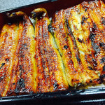 うな繁 - びっちりと〜鰻！