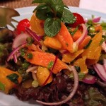 チェディルアン - 季節のスパイシーサラダ　ヤム サーモン　ソム