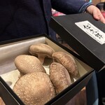 築地ボン・マルシェ - 茨城県田村きのこ園　特大きのこ