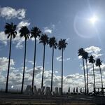 たまご屋さんちのたこ焼 - 安乎岩戸信龍神社付近の風景　2026.1