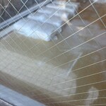 本手打ちうどん庄司 - 