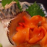 Dontei - しめ鯖と赤貝の刺身