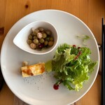La Cadenza - 