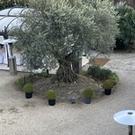 OGA BAR by 小笠原伯爵邸  - 