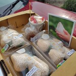 井手農園 - 購入品②